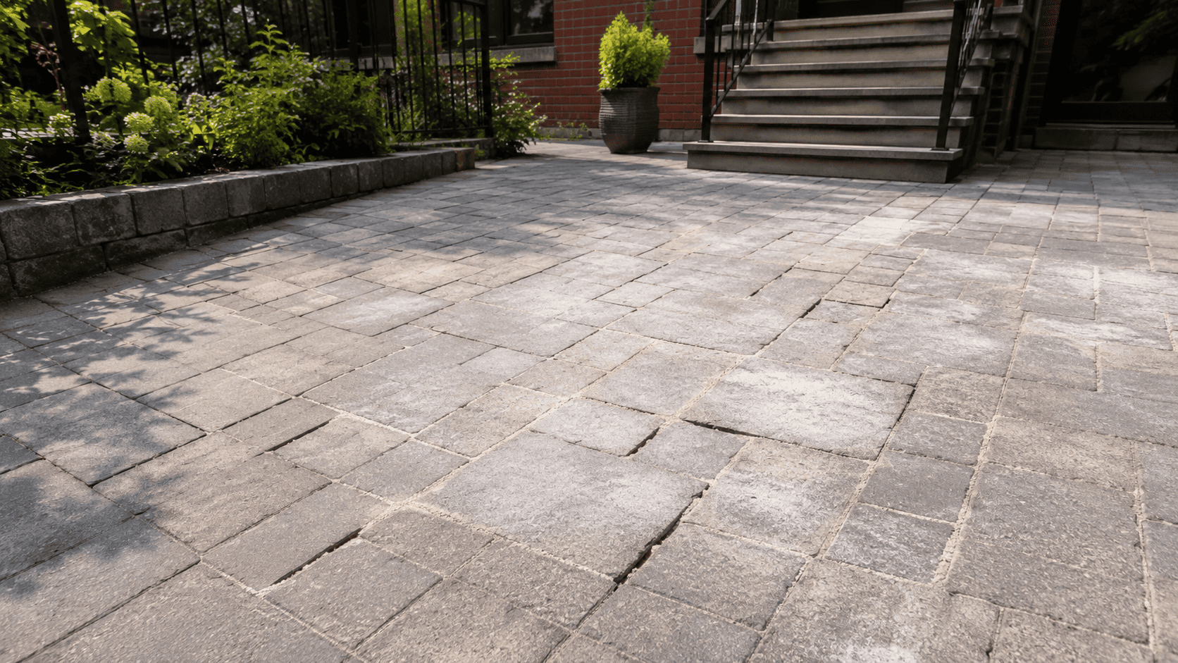 Polymeric sand problems in NYC shown on a paver patio with white haze, uneven joints, and signs of joint sand washout near a residential entrance.