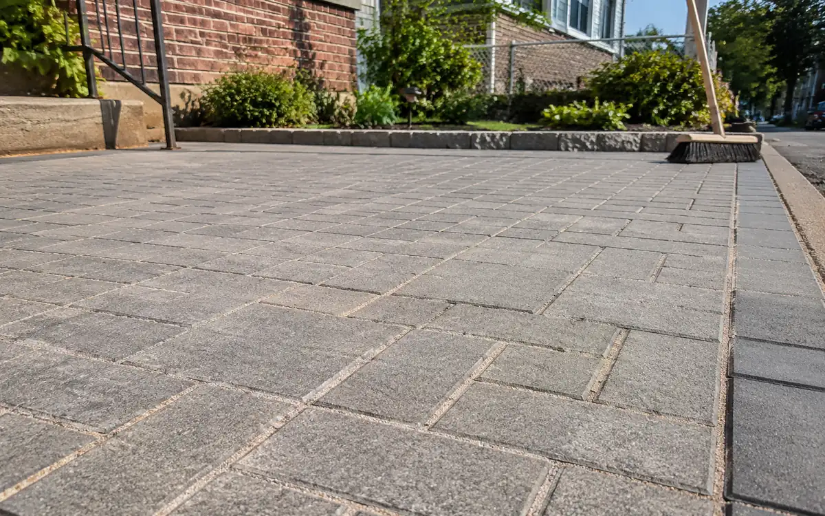 Clean concrete paver surface with renewed joint sand in NYC
